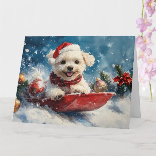 マルチーズのそりクリスマス 雪を降らせて カード (蘭)