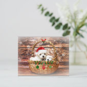 マルチーズのクリスマス子犬 シーズンカード (スタンド正面)