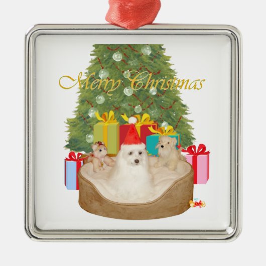 マルチーズのクリスマス メタルオーナメント (正面)