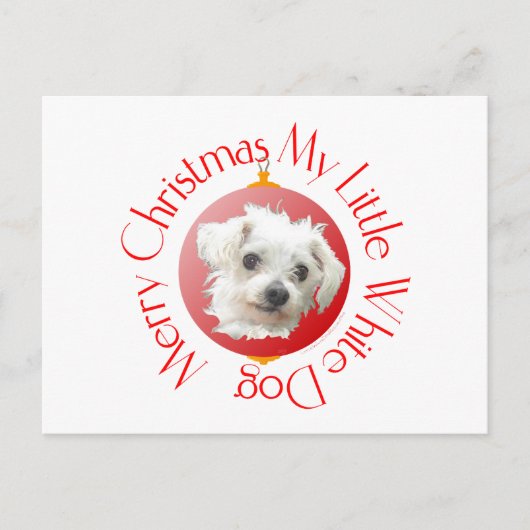 マルチーズのクリスマス 小さな白犬 シーズンポストカード (正面)