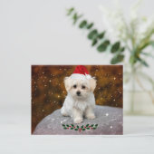 マルチーズの写真付きクリスマスポストカード ポストカード (スタンド正面)