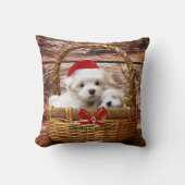 マルチーズの子犬がクリスマスのバスケットに クッション (正面)
