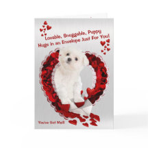 マルチーズの子犬すごい-メールがかわい得い！