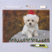 マルチーズの子犬のクリスマス、かわいくてかわいい 薄葉紙 (クラフト)