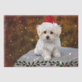 マルチーズの子犬のクリスマス、かわいくてかわいい 薄葉紙 (正面)