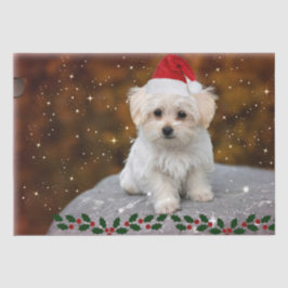 マルチーズの子犬のクリスマス、かわいくてかわいい 薄葉紙