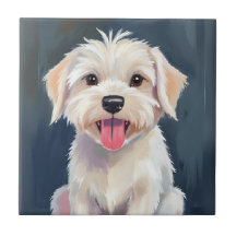 マルチーズの子犬 | 白い犬の絵