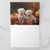 マルチーズの子犬 秋の喜び パンプキン カード (内部)