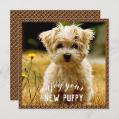 マルチーズの新しい子犬用カード サンキューカード (正面/裏面)