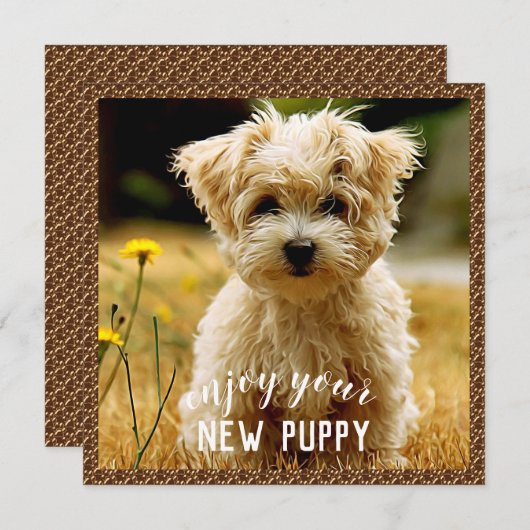 マルチーズの新しい子犬用カード サンキューカード (正面/裏面)