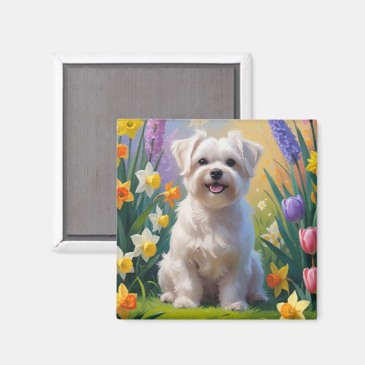 マルチーズの春の花の絵 マグネット (正面/裏面)