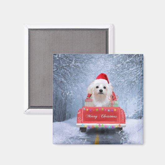 マルチーズの犬が雪の中でクリスマストラックに座って マグネット (正面/裏面)