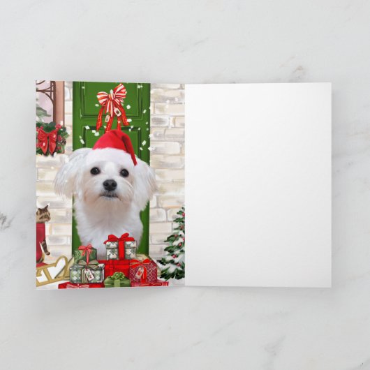 マルチーズの犬のクリスマス カード (内部)