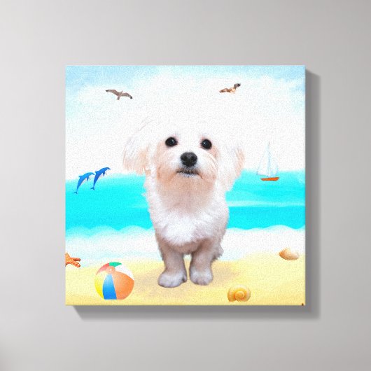 マルチーズの犬のビーチ キャンバスプリント (正面)