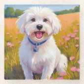 マルチーズの花畑の絵画 ガラスコースター (正面)