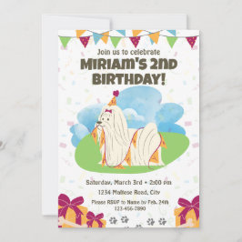 マルチーズの誕生日招待状 招待状