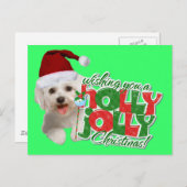 マルチーズはホリークリスマスをすてき持つ シーズンポストカード (正面/裏面)