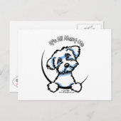 マルチーズは私に関する ポストカード (正面/裏面)