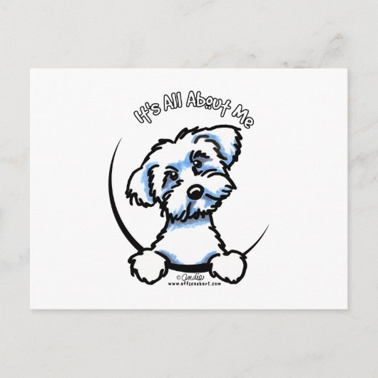 マルチーズは私に関する ポストカード (正面)