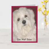 マルチーズは誰にでも早く良くなる カード (黄色い花)