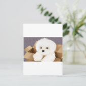 マルチーズを箱の中に ポストカード (スタンド正面)