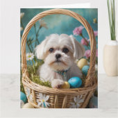 マルチーズイースターエッグ カード (正面)