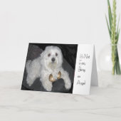 マルチーズエンジェルユーモアグリーティングカード カード (正面)