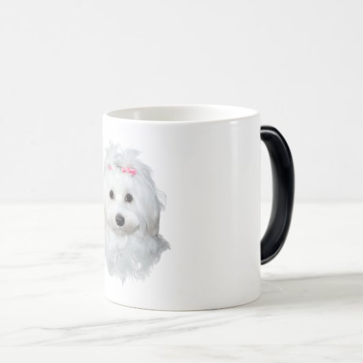 マルチーズオブエレガンスフラフィー美しい モーフィングマグカップ (正面右)