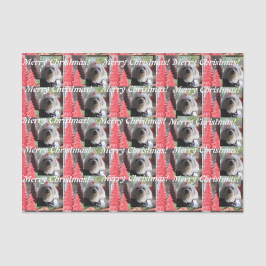 マルチーズクリスマスと赤い木 薄葉紙 (正面)