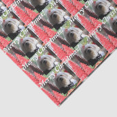 マルチーズクリスマスと赤い木 薄葉紙 (詳細)