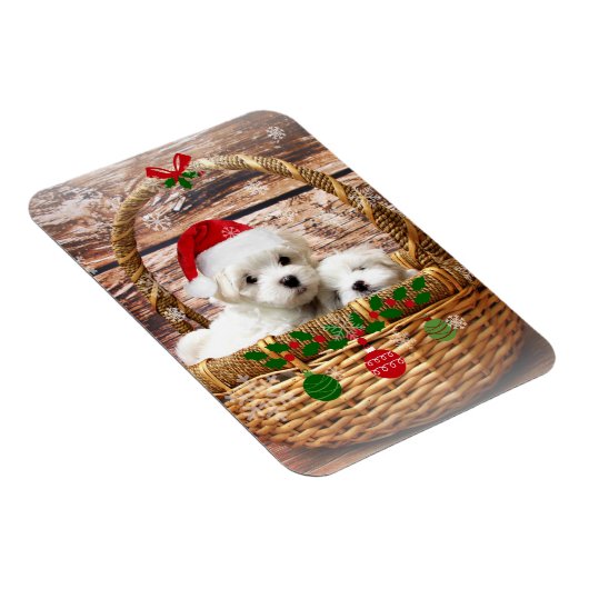 マルチーズクリスマスの子犬のように、かわいい可愛いと可愛い マグネット (右側)