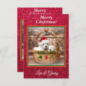 マルチーズクリスマスパピーズテンプレート サンキューカード (正面/裏面)