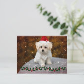 マルチーズクリスマスワンちゃん ポストカード (スタンド正面)