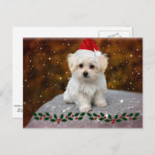 マルチーズクリスマスワンちゃん ポストカード (正面/裏面)