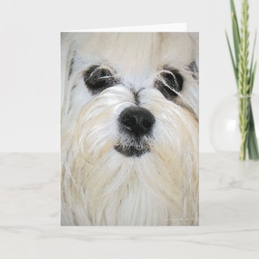 マルチーズグリーティングカード カード (正面)