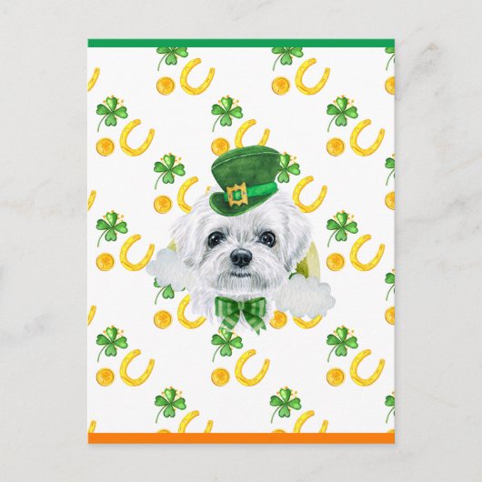 マルチーズシャムロックサンパトリックスデイ シーズンポストカード (正面)