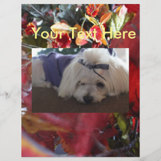 マルチーズシーズン葉ズデザイン