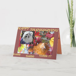 マルチーズシーズン葉ズデザイン シーズンカード