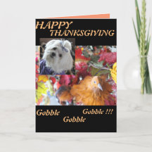 マルチーズシーズン葉ズデザイン