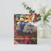 マルチーズシーズン葉ズデザイン シーズンポストカード (スタンド正面)