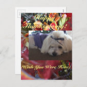 マルチーズシーズン葉ズデザイン シーズンポストカード (正面/裏面)