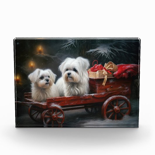 マルチーズスノウリースレイクリスマスデコール フォトブロック (正面)