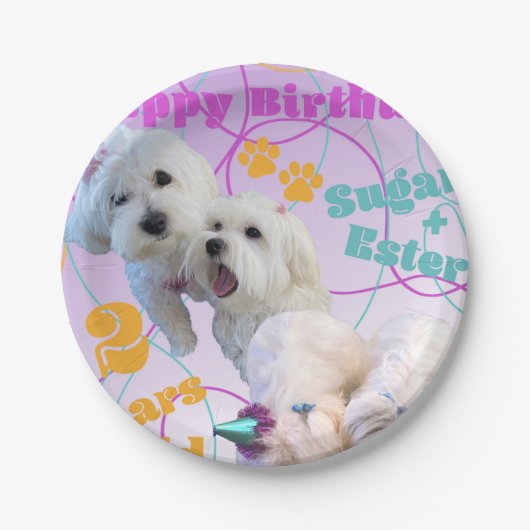 マルチーズツインプレート ペーパープレート (正面)