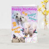 マルチーズツイン誕生日カード カード (黄色い花)