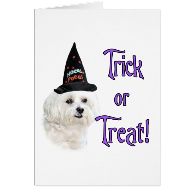 マルチーズトリック (正面)