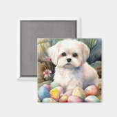 マルチーズドッグとイースターエッグホリデイ マグネット (正面/裏面)