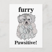 マルチーズドッグアニマルペットおもしろい ポストカード (正面)