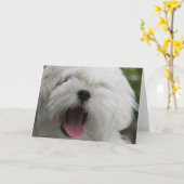マルチーズドッグカード カード (黄色い花)