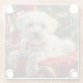 マルチーズドッグクリスマスフェスティバル ガラスコースター (裏面)