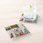 マルチーズドッグクリスマス ガラスコースター (アングル)